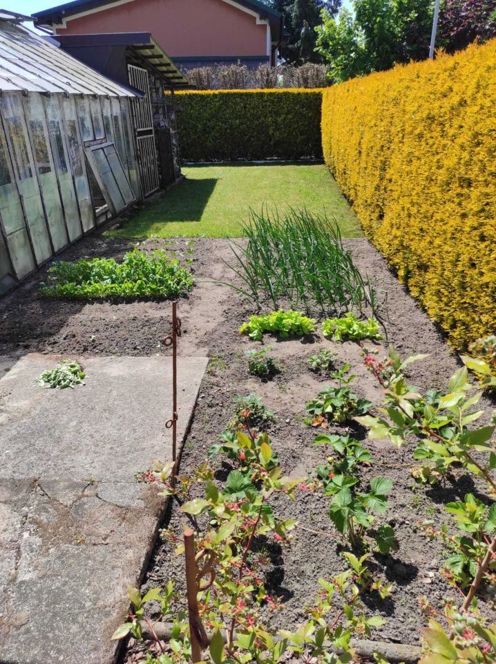 Działka rekreacyjna Kalina. Zdjęcie 5