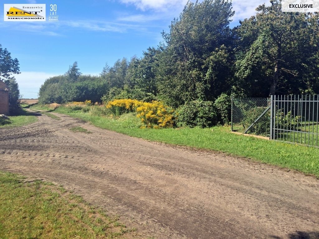 Działka siedliskowa Parlino. Zdjęcie 9