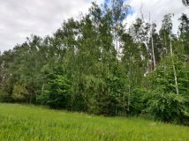 Działka rolno-budowlana Chachalnia, ul. Ostrowska. Zdjęcie 4