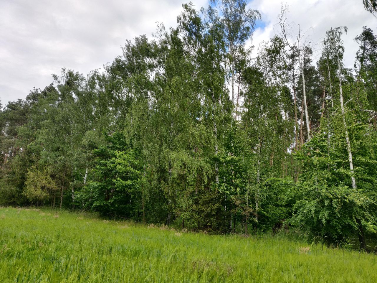 Działka rolno-budowlana Chachalnia, ul. Ostrowska. Zdjęcie 5