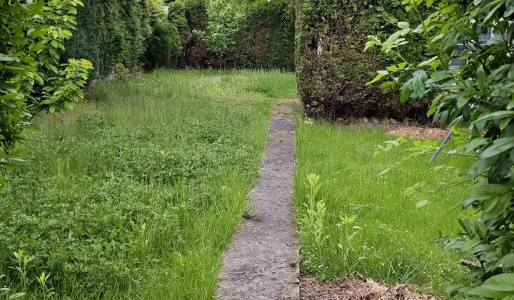 Działka rod Będzin Małobądz, ul. sierż. Grzegorza Załogi