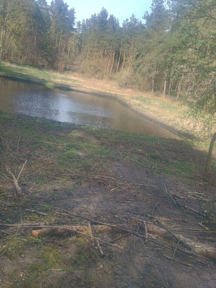 Działka rekreacyjna Grabowiec. Zdjęcie 2