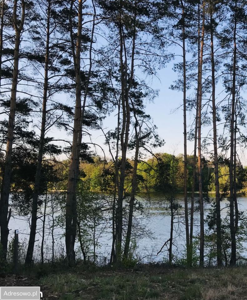Działka rod Bugaj. Zdjęcie 3