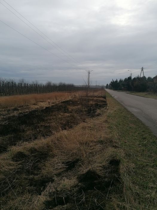 Działka rolna Wólka Dworska. Zdjęcie 3