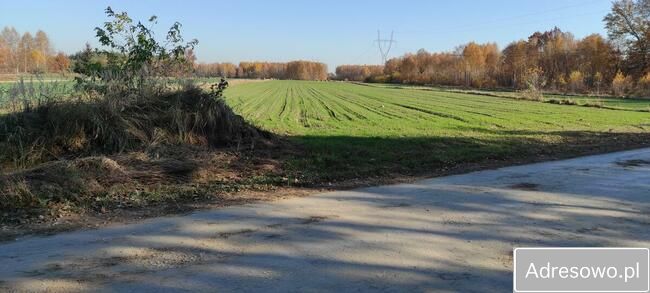 Działka budowlana Orły-Cesin. Zdjęcie 11