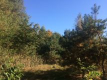 Działka rekreacyjna Trzcianka Zarzecze. Zdjęcie 3