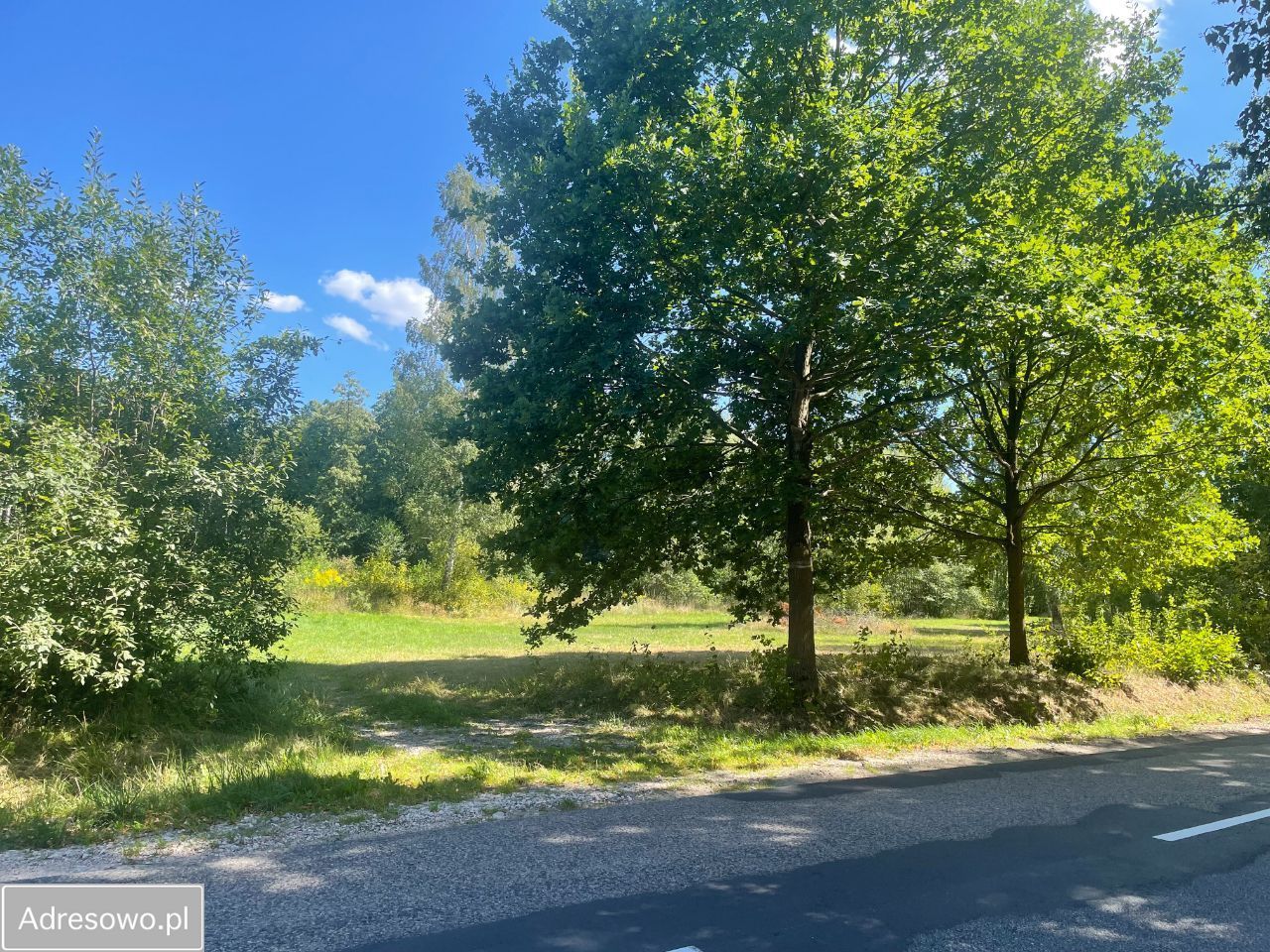 Działka Bartoszówka, ul. Mszczonowska. Zdjęcie 3