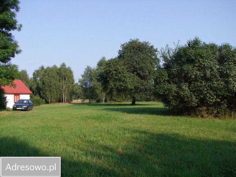 Działka siedliskowa Marianka. Zdjęcie 1