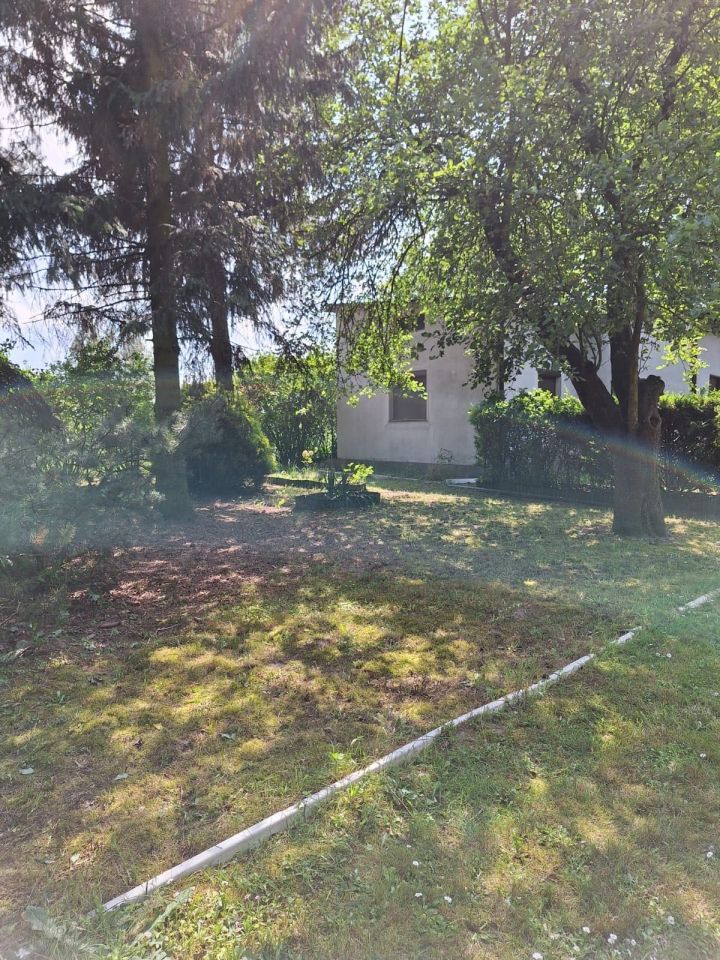 Działka siedliskowa Wola Rogozińska. Zdjęcie 6