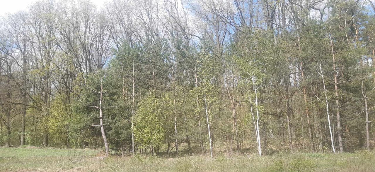 Działka budowlana Stare Orzechowo. Zdjęcie 4