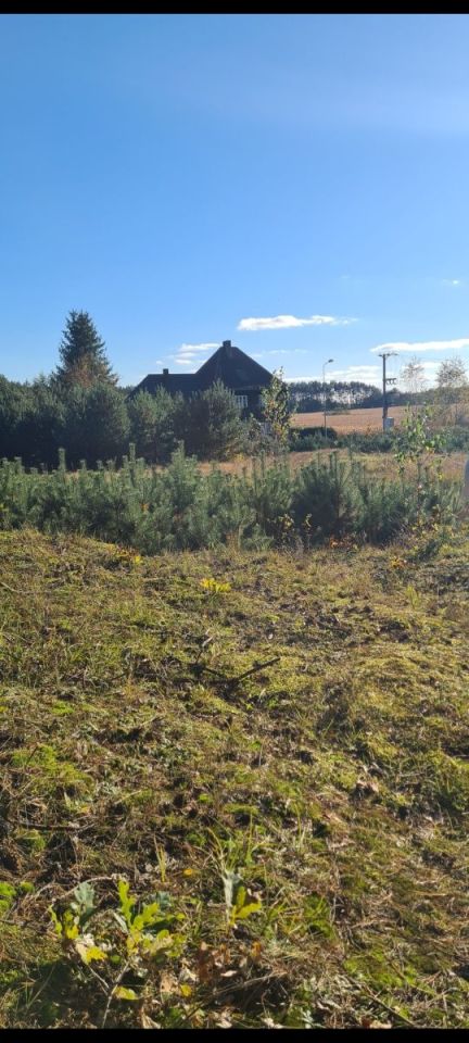 Działka budowlana Wersk. Zdjęcie 2