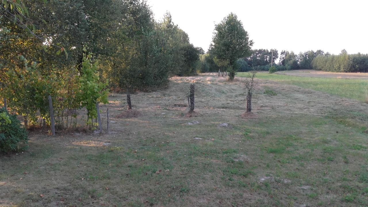 Działka rolno-budowlana Krasienin-Kolonia. Zdjęcie 4