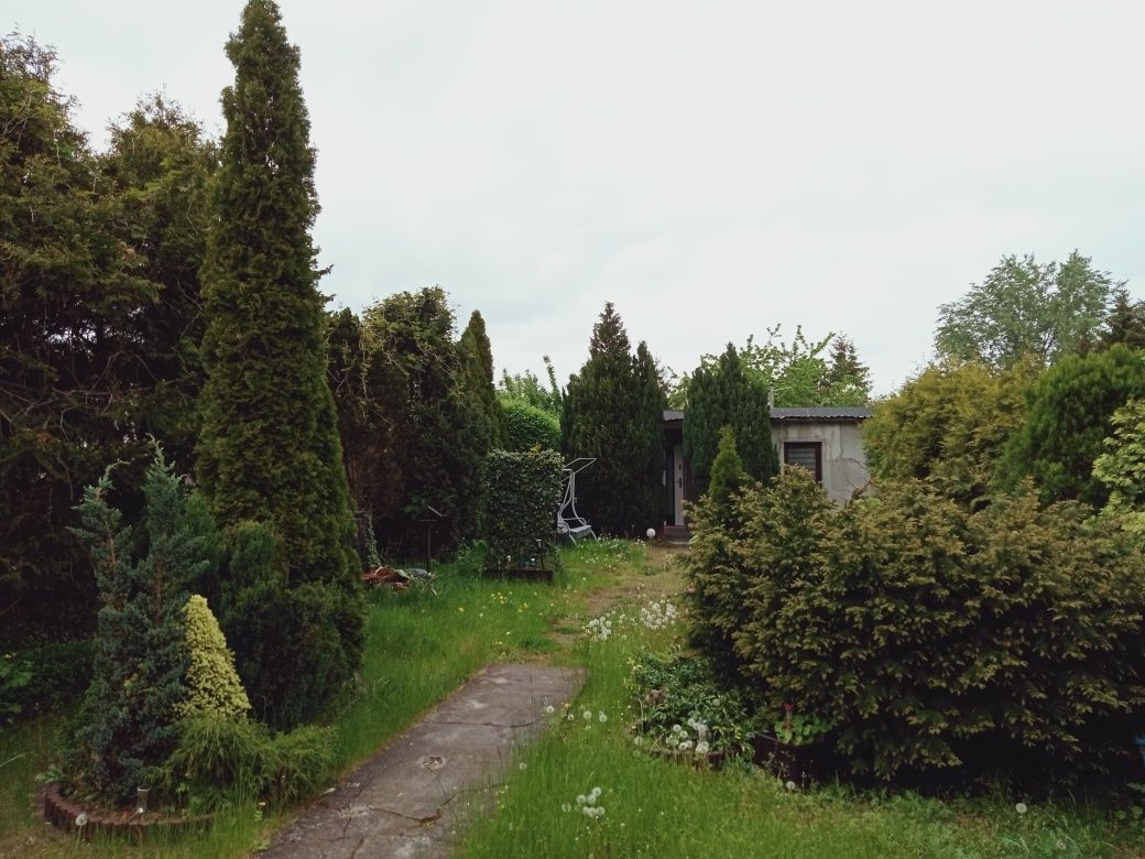 dom letniskowy Bydgoszcz, ul. Bydgoskiego Batalionu Obrony Narodowej