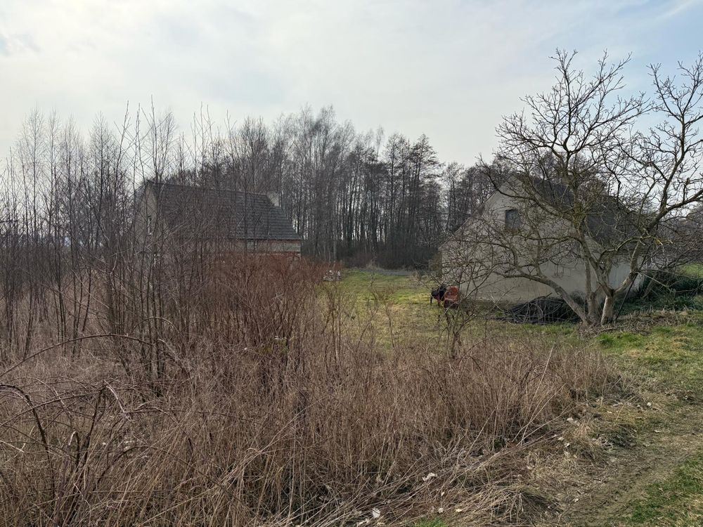 Działka rolno-budowlana Jarosławki. Zdjęcie 3