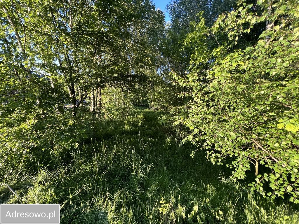 Działka budowlana Wodzisław Śląski, ul. Grodzisko. Zdjęcie 6