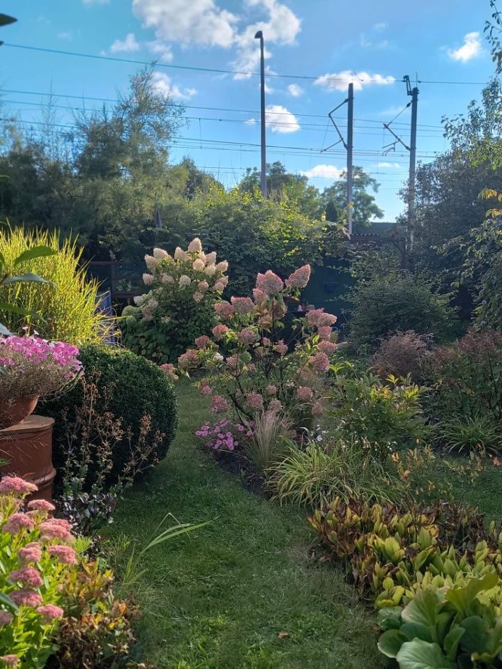 Działka rod Brzeg. Zdjęcie 4