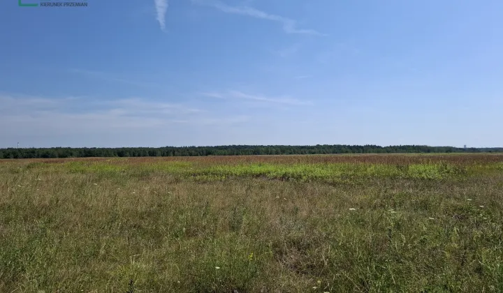 Działka inna Gierałtowice