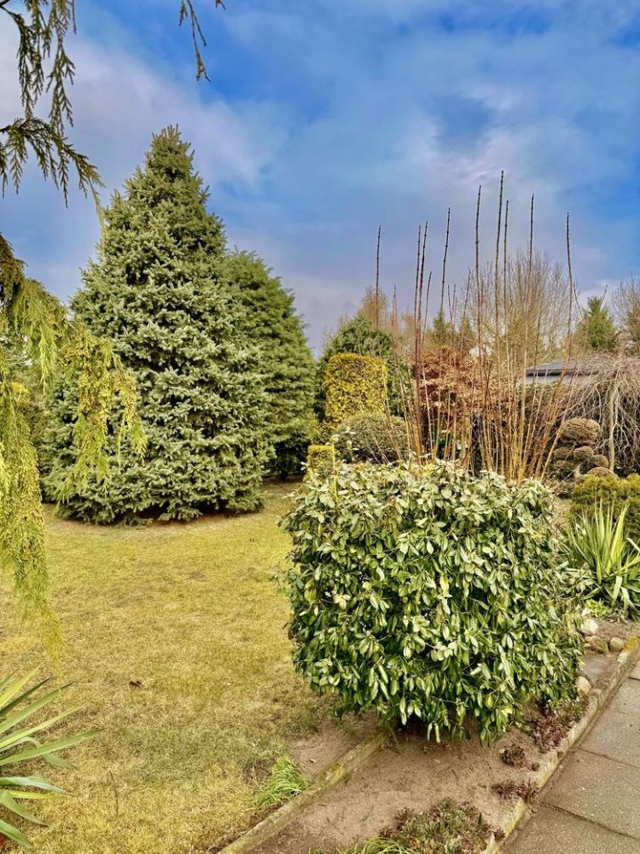 Działka rod Konstantynów Łódzki, ul. Lutomierska. Zdjęcie 8