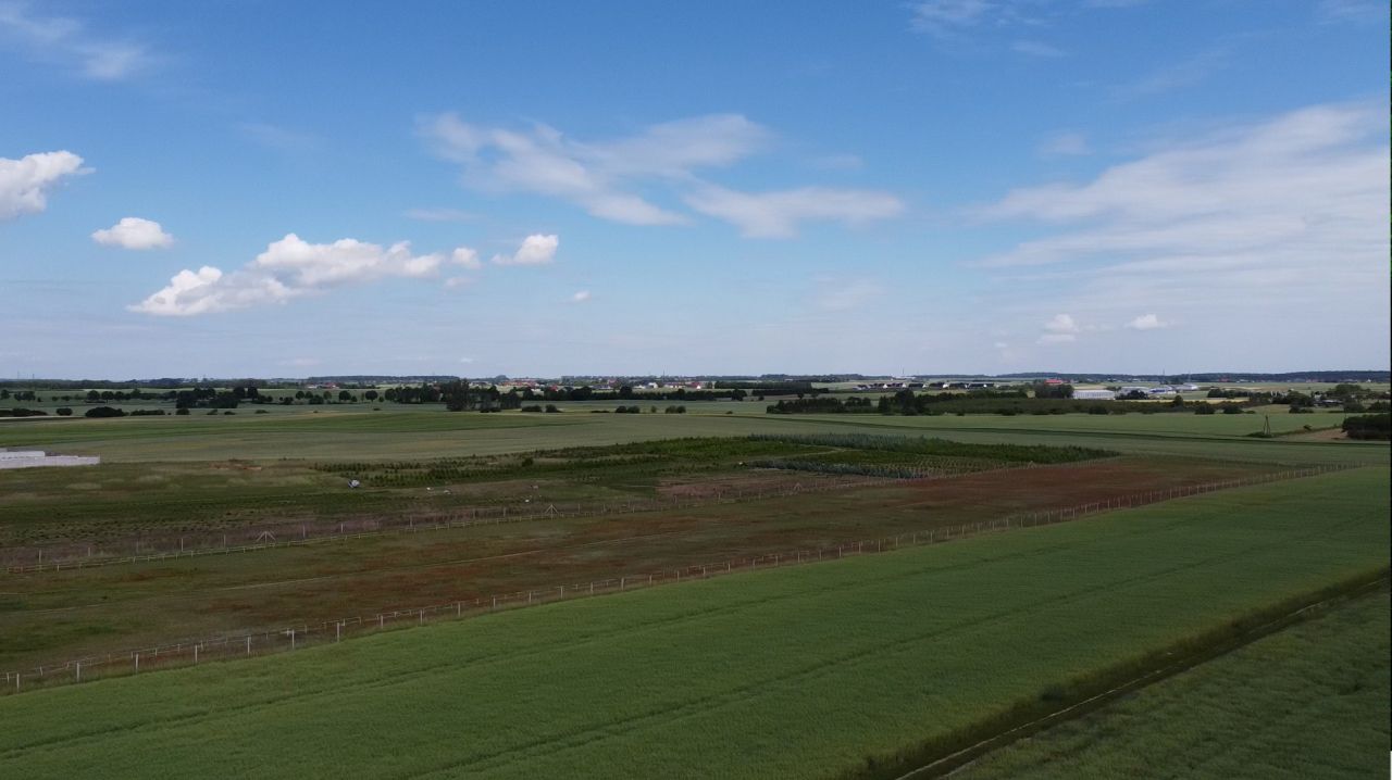 Działka inna Moczkowo, ul. Prosta. Zdjęcie 4