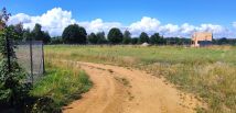 Działka rolno-budowlana Brodowo. Zdjęcie 4