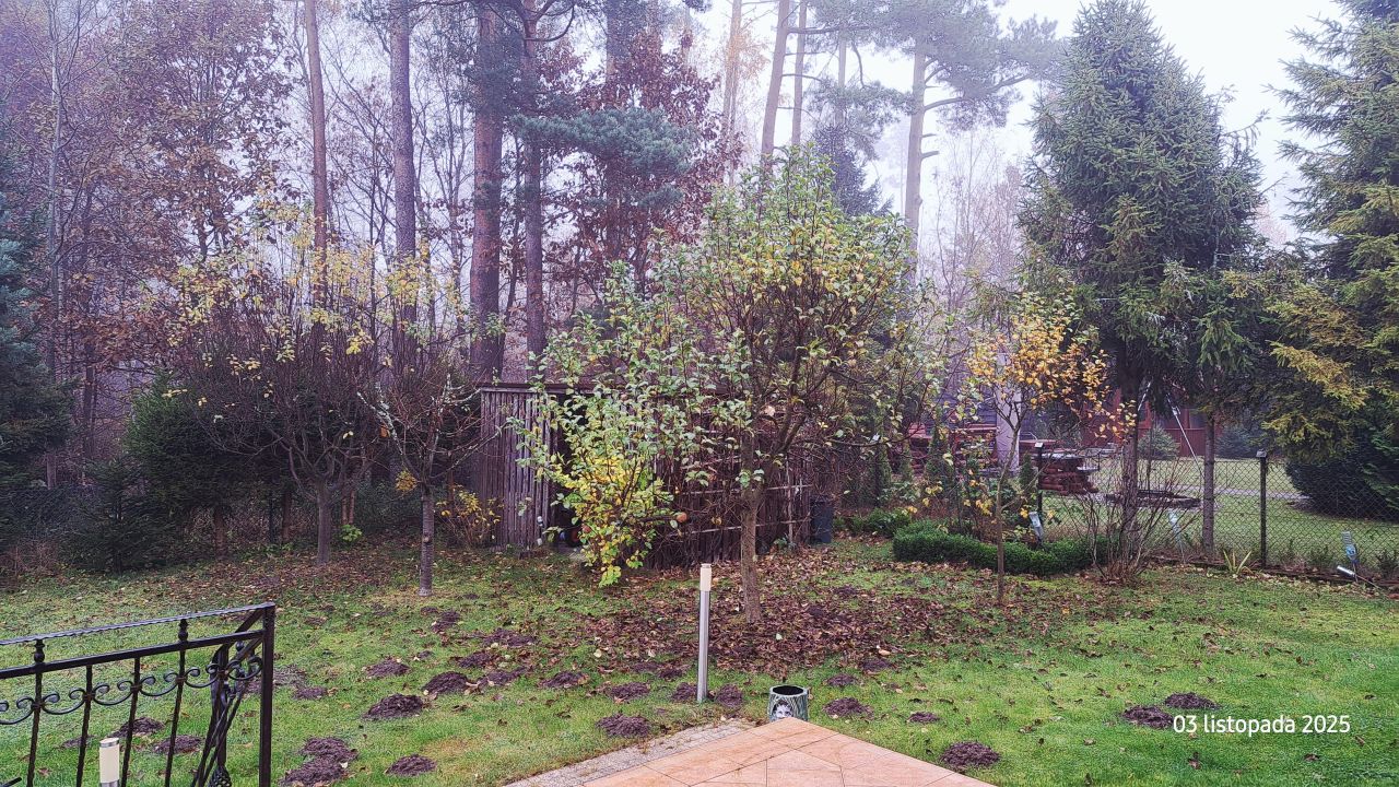 dom wolnostojący Podjazy. Zdjęcie 10