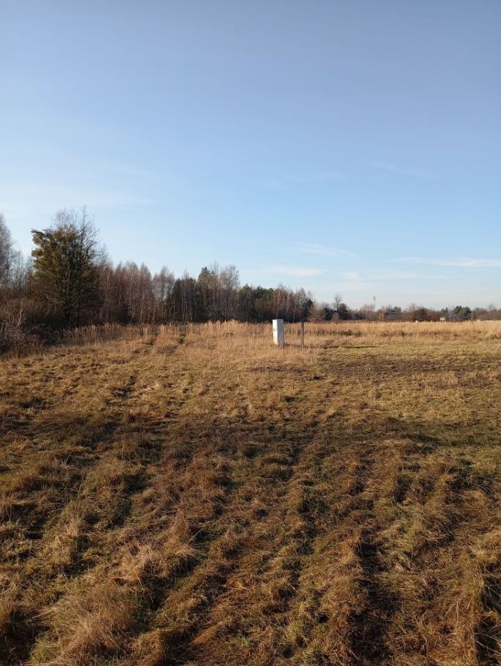 Działka budowlana Kolonia Poczesna. Zdjęcie 5