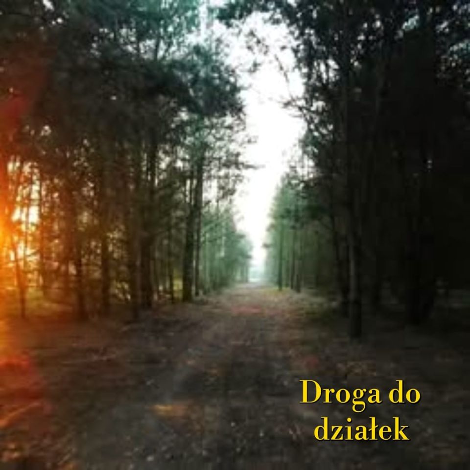 Działka rekreacyjna Skęczniew. Zdjęcie 3