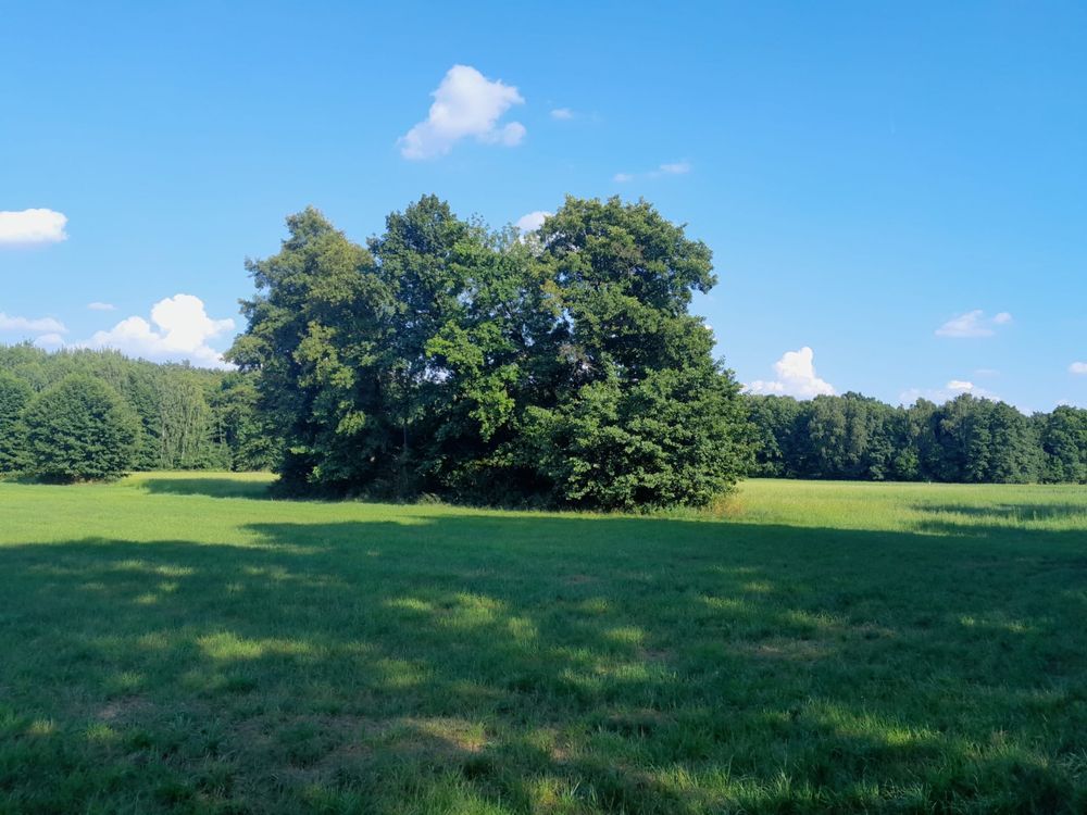 Działka budowlana Daniszyn. Zdjęcie 4