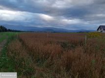 Działka budowlana Łomnica, ul. Klonowa