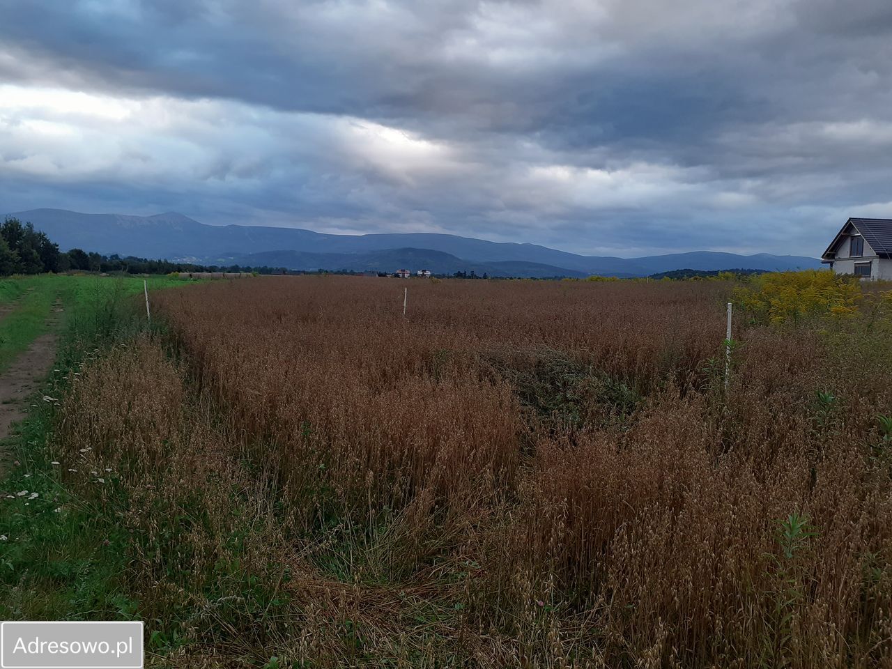 Działka budowlana Łomnica, ul. Klonowa