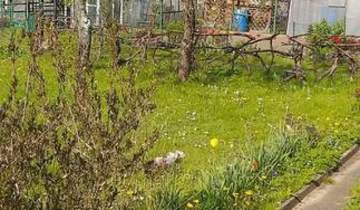 Działka rod Białystok Dojlidy, ul. płk. Czesława Hake