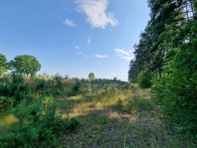 Działka budowlana Bagno. Zdjęcie 12