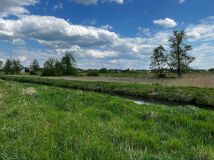 Działka rolna Kołczyn, ul. Zamkowa. Zdjęcie 2