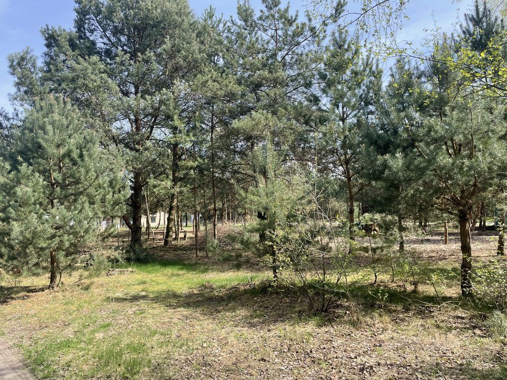 Działka budowlana Altanka. Zdjęcie 7