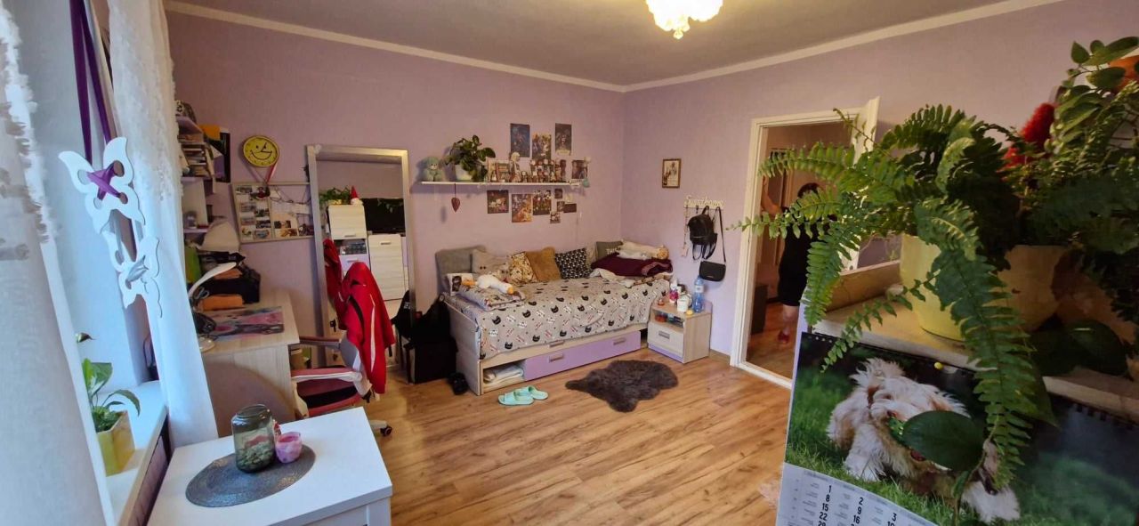 gospodarstwo Kwielice. Zdjęcie 5