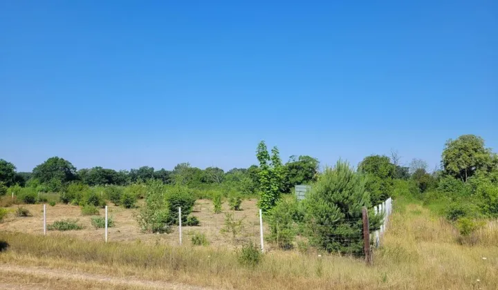 Działka rekreacyjna Głoska