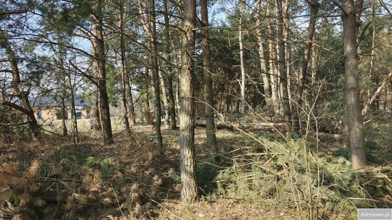 Działka siedliskowa Pogórska Wola. Zdjęcie 8