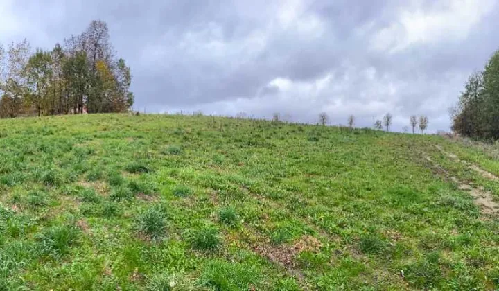 Działka siedliskowa Bodzanów