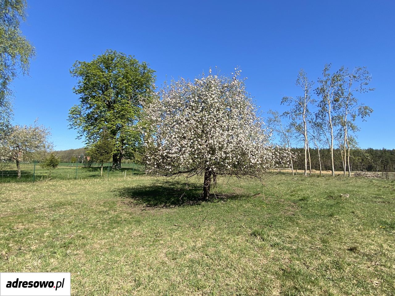 Działka rolno-budowlana Jarszewko. Zdjęcie 3