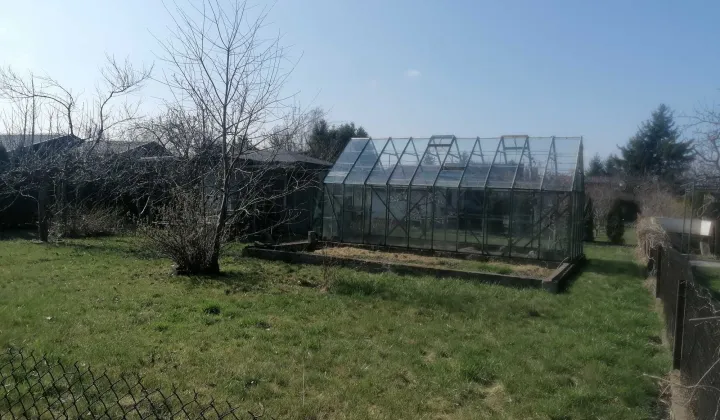 Działka rod Piotrków Trybunalski