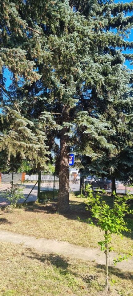 dom wolnostojący, 3 pokoje Grodzisk Mazowiecki Centrum. Zdjęcie 4