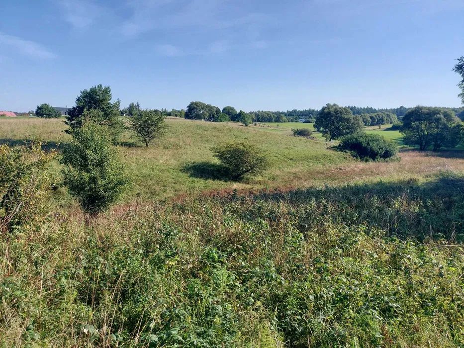 Działka budowlana Pomlewo, ul. Sosnowa. Zdjęcie 7