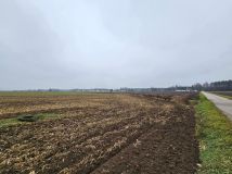 Działka rolno-budowlana Budziska. Zdjęcie 2