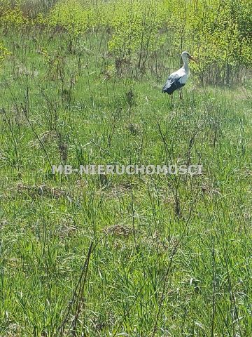 Działka budowlana Nowe Włóki. Zdjęcie 6