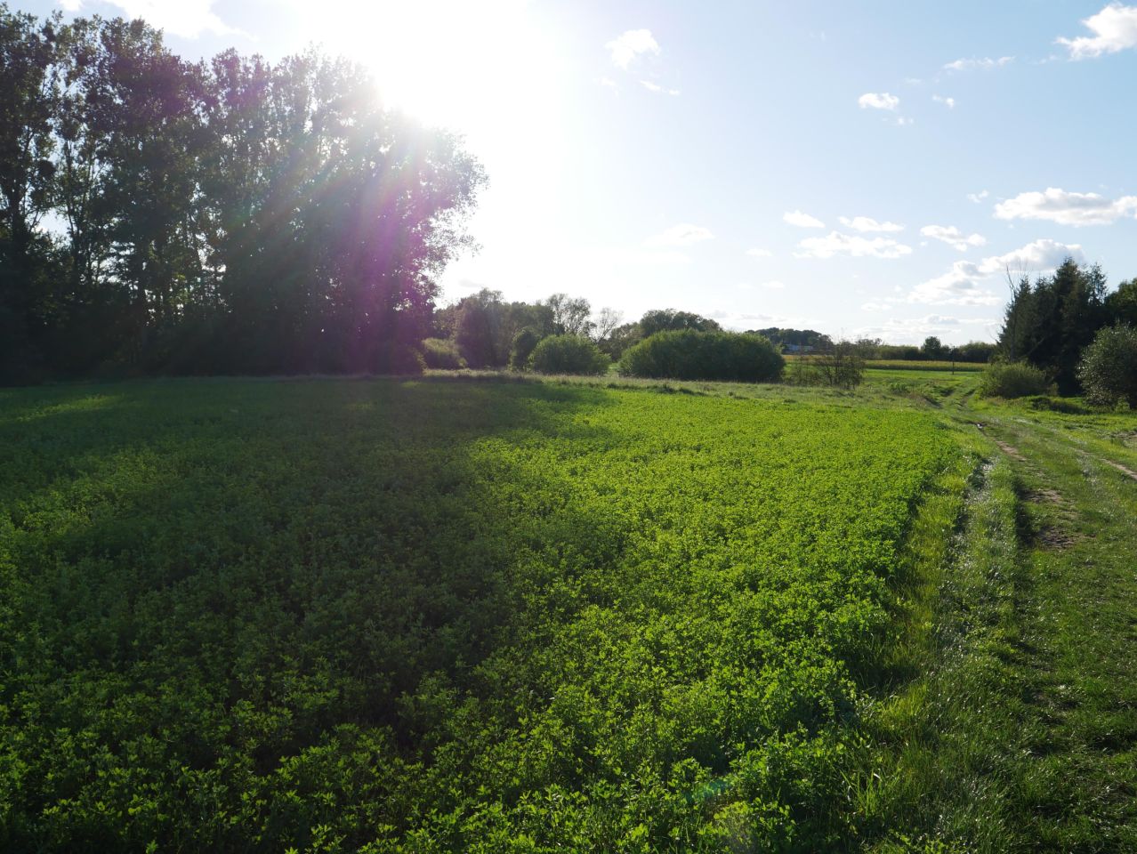 Działka budowlana Kurkocin. Zdjęcie 6