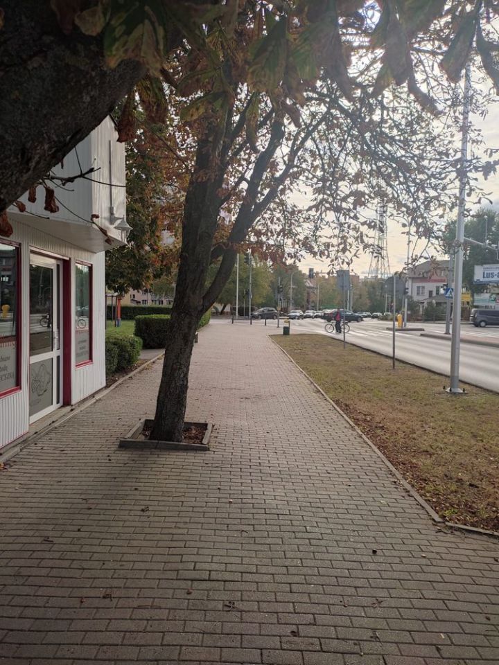 Lokal Ostrołęka, ul. gen. Ludwika Bogusławskiego. Zdjęcie 2