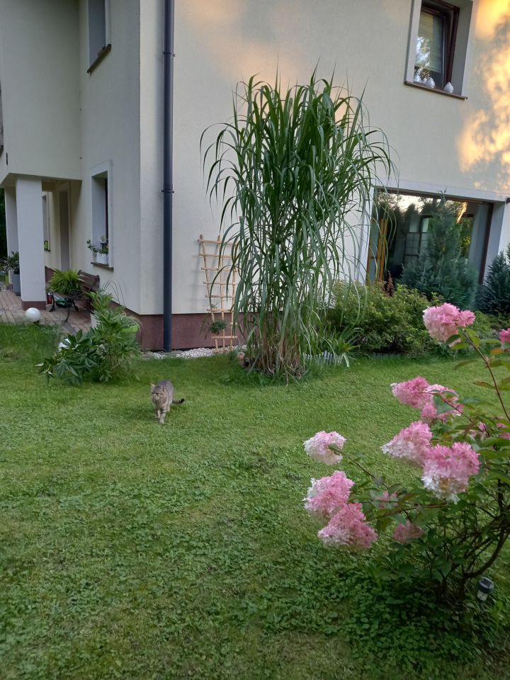 dom wolnostojący, 5 pokoi Gorlice Zawodzie. Zdjęcie 36