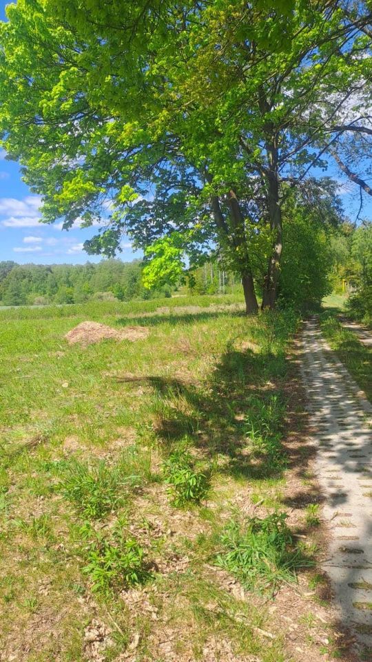 Działka budowlana Budno. Zdjęcie 5