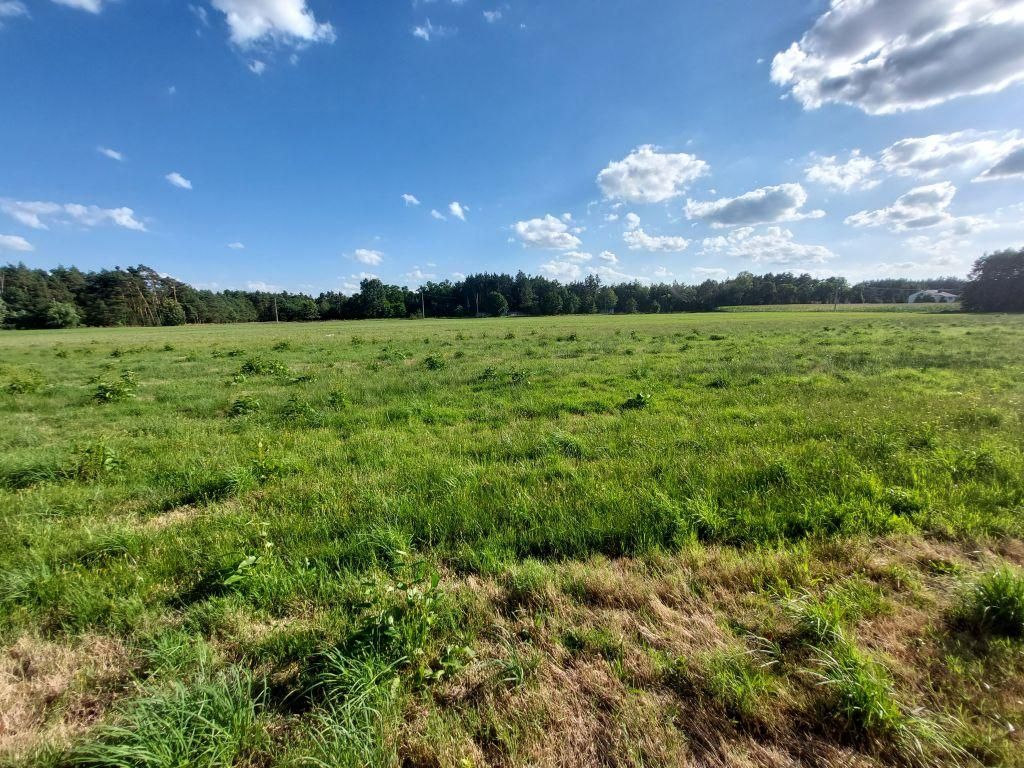 Działka rolno-budowlana Zamęty. Zdjęcie 13