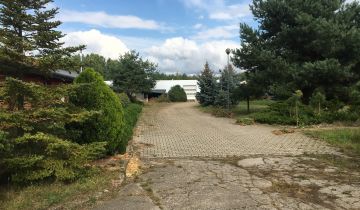 Hala/magazyn Sarnów